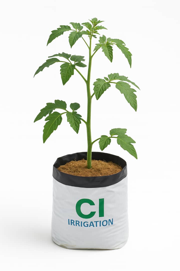 WhatsApp Image 2025-07-05 at 23.04.07