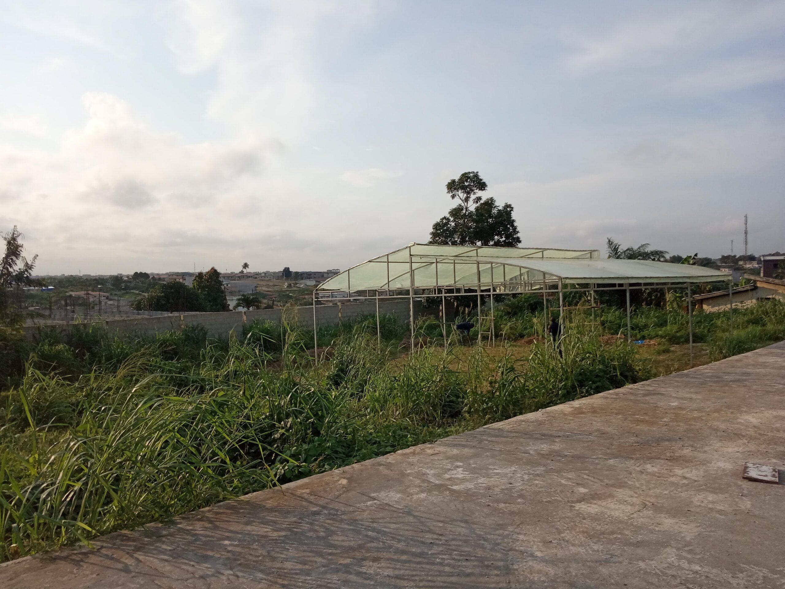 Avant — Atelier & premières structures